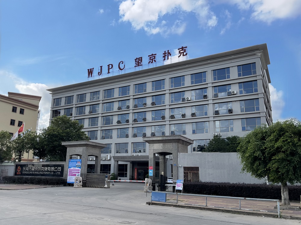 公司：以创新与实力引领卡牌行业发展AG真人网页广东望京卡牌科技有限(图2)